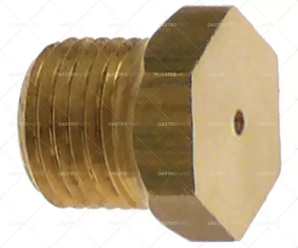 Cenově Výhodný závit plynového vstřikovače M10x1 WS 12 otvor ø 1,95 mm