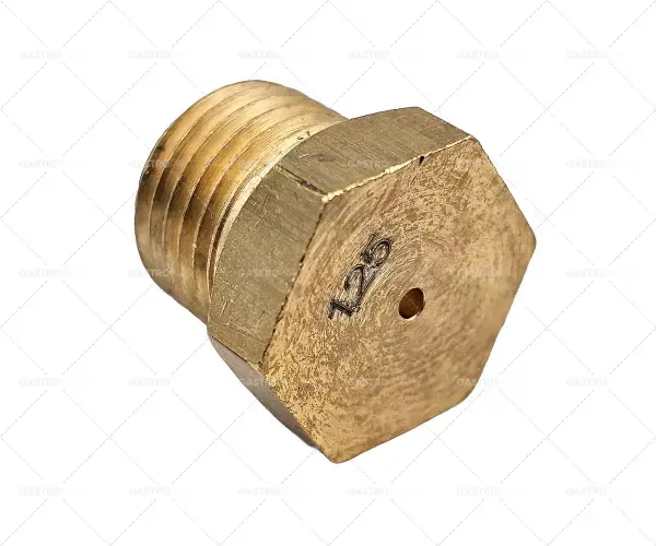 Nakupujte Hned závit plynového vstřikovače M10x1 WS 12 otvor ø 1,25 mm