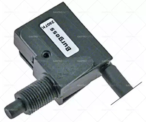 Levný mikrospínač s kolíkem 250V 10A 1no m10x1 konektor 6,3mm