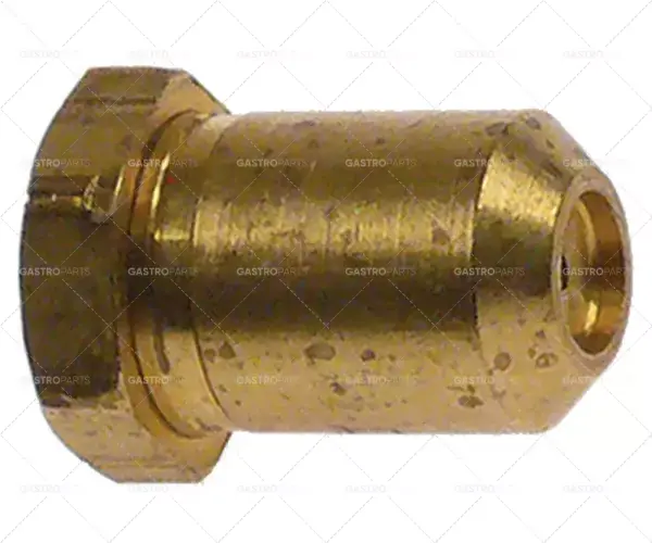 Výhodná Nabídka plynový vstřikovač závit M8 kód 55 WS 13 otvor ø 1,24 mm D 18,5 mm zemní/kapalný plyn