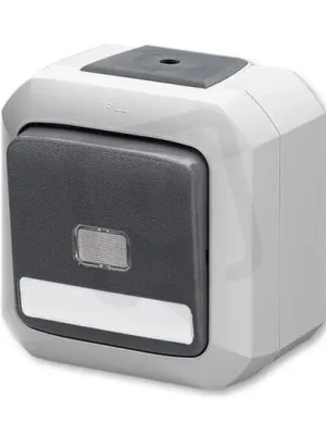 Super Cena Přepínač ABB VARIANT s průzorem, sv. N, ř. 6S a 6So, IP54, šedá 3558N-C25512 S