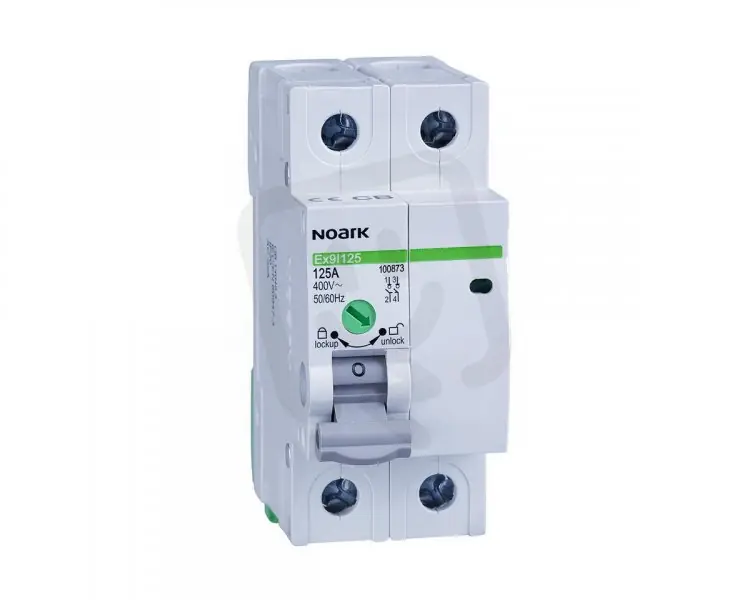 Značkový Instalační vypínač NOARK 100868 EX9I125 šířka 2 moduly, 2pól, 32A